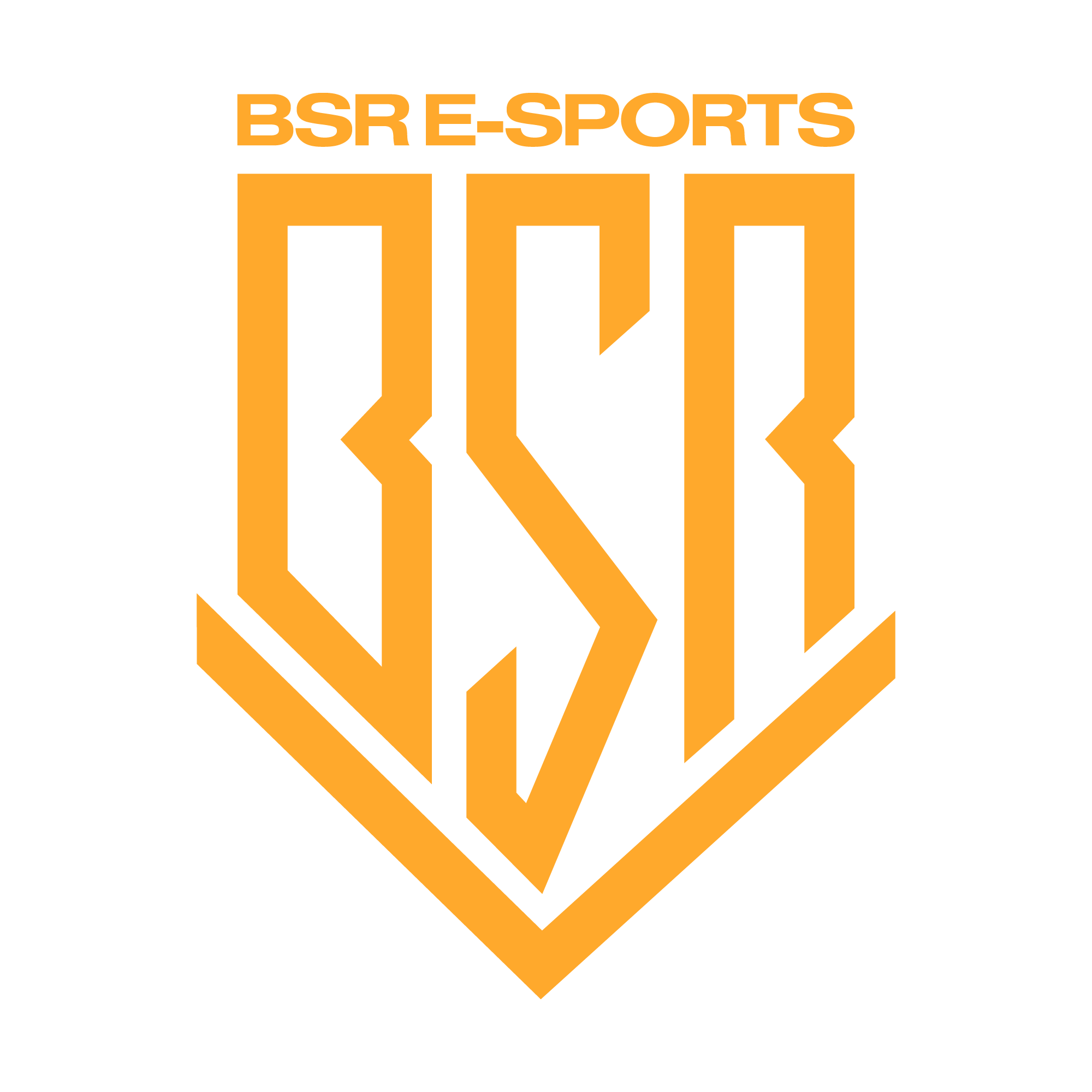 BSR ESPORTS