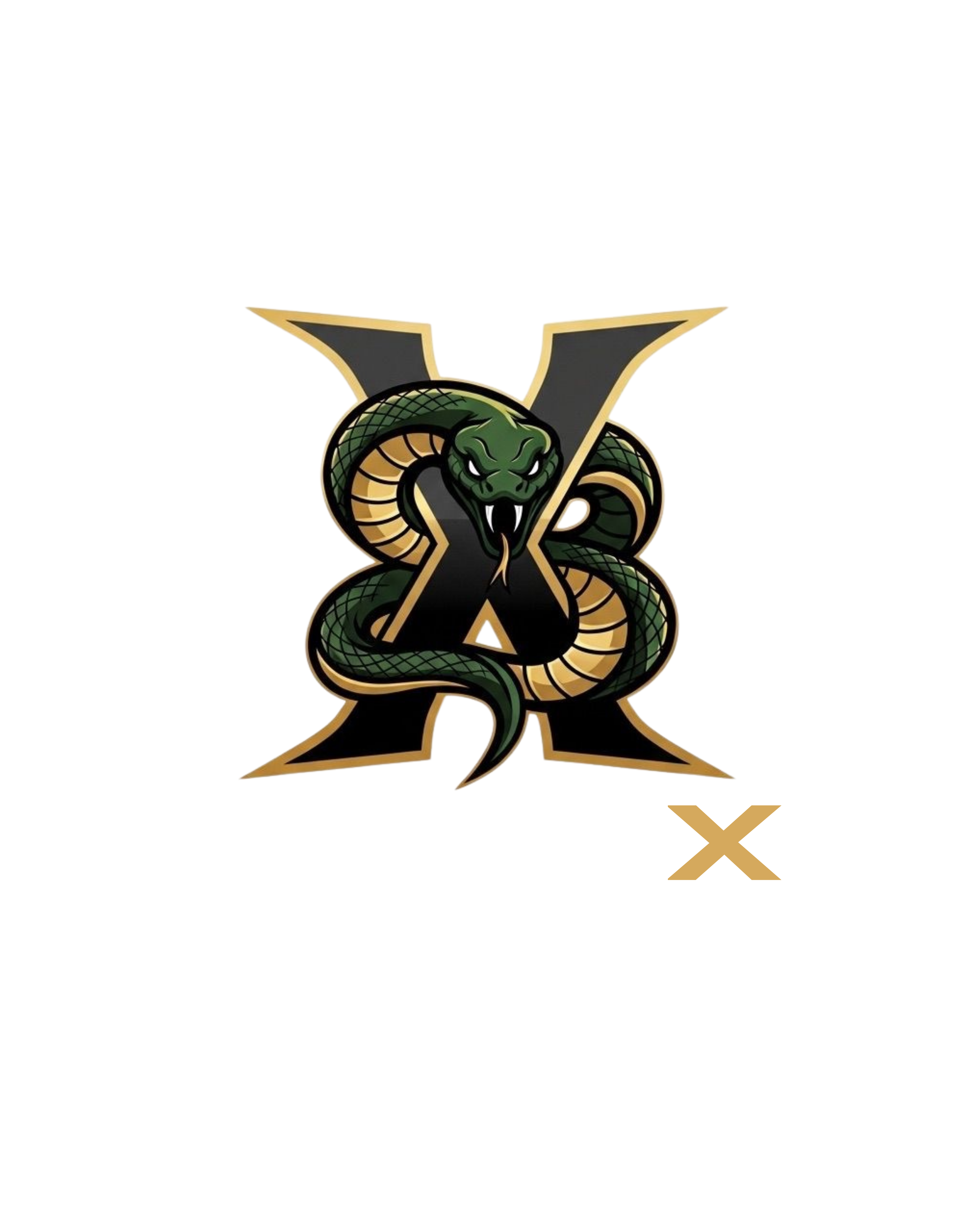ViperX eSports